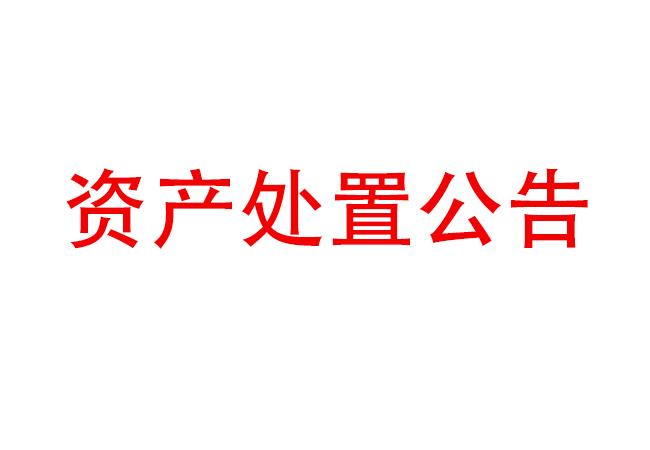 閑置設(shè)備資產(chǎn)處置公告（2023-13） 